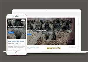 关于宠物狗销售网站模板下载冒泡网-中创网-项目资源网-资源之家-项目资源网-资源之家-副业项目-手机搬砖-中创网-无货源电商-创业项目-抖音工具箱-搬砖项目-网络赚钱网创矩阵局-网赚冒泡网-福缘网-中创网-知识街网站