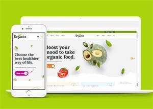 蔬菜水果商店网站响应式模板下载冒泡网-中创网-项目资源网-资源之家-项目资源网-资源之家-副业项目-手机搬砖-中创网-无货源电商-创业项目-抖音工具箱-搬砖项目-网络赚钱网创矩阵局-网赚冒泡网-福缘网-中创网-知识街网站