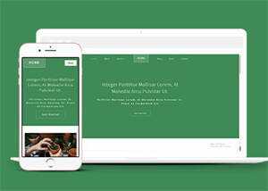 响应式多肉植物种植网站模板下载冒泡网-中创网-项目资源网-资源之家-项目资源网-资源之家-副业项目-手机搬砖-中创网-无货源电商-创业项目-抖音工具箱-搬砖项目-网络赚钱网创矩阵局-网赚冒泡网-福缘网-中创网-知识街网站