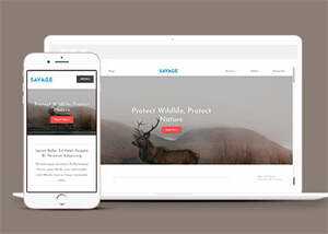 保护野生动物响应式网站模板下载冒泡网-中创网-项目资源网-资源之家-项目资源网-资源之家-副业项目-手机搬砖-中创网-无货源电商-创业项目-抖音工具箱-搬砖项目-网络赚钱网创矩阵局-网赚冒泡网-福缘网-中创网-知识街网站