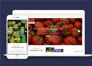 响应式果蔬大棚企业源码模板下载冒泡网-中创网-项目资源网-资源之家-项目资源网-资源之家-副业项目-手机搬砖-中创网-无货源电商-创业项目-抖音工具箱-搬砖项目-网络赚钱网创矩阵局-网赚冒泡网-福缘网-中创网-知识街网站