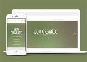 简洁绿色主题公司网站模板下载冒泡网-中创网-项目资源网-资源之家-项目资源网-资源之家-副业项目-手机搬砖-中创网-无货源电商-创业项目-抖音工具箱-搬砖项目-网络赚钱网创矩阵局-网赚冒泡网-福缘网-中创网-知识街网站