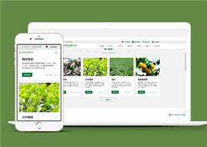 大气响应式绿化企业网站模板源码下载冒泡网-中创网-项目资源网-资源之家-项目资源网-资源之家-副业项目-手机搬砖-中创网-无货源电商-创业项目-抖音工具箱-搬砖项目-网络赚钱网创矩阵局-网赚冒泡网-福缘网-中创网-知识街网站