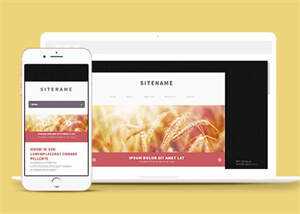 宽屏粉色个人博客主页网站模板冒泡网-中创网-项目资源网-资源之家-项目资源网-资源之家-副业项目-手机搬砖-中创网-无货源电商-创业项目-抖音工具箱-搬砖项目-网络赚钱网创矩阵局-网赚冒泡网-福缘网-中创网-知识街网站