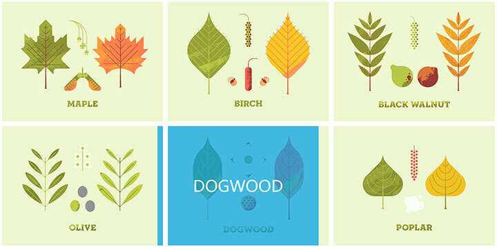 jQuery列表图片鼠标悬停感知方向遮罩层移动特效冒泡网-中创网-项目资源网-资源之家-项目资源网-资源之家-副业项目-手机搬砖-中创网-无货源电商-创业项目-抖音工具箱-搬砖项目-网络赚钱网创矩阵局-网赚冒泡网-福缘网-中创网-知识街网站