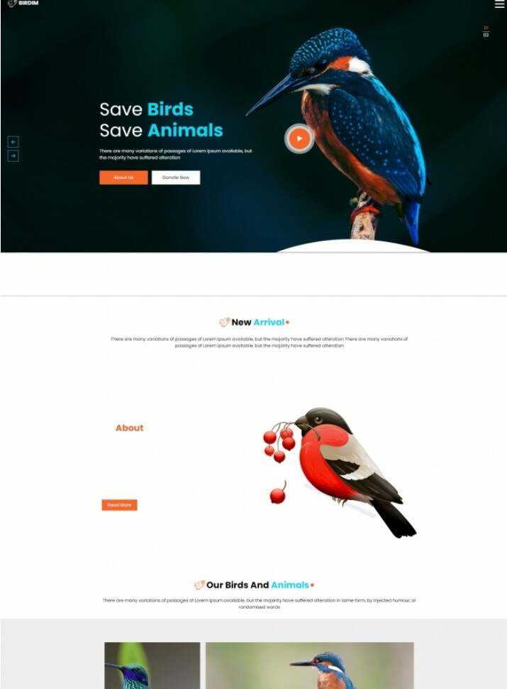 拯救鸟类拯救动物HTML5网站模板冒泡网-中创网-项目资源网-资源之家-项目资源网-资源之家-副业项目-手机搬砖-中创网-无货源电商-创业项目-抖音工具箱-搬砖项目-网络赚钱网创矩阵局-网赚冒泡网-福缘网-中创网-知识街网站