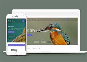 专业鸟类百科HTML网站模板冒泡网-中创网-项目资源网-资源之家-项目资源网-资源之家-副业项目-手机搬砖-中创网-无货源电商-创业项目-抖音工具箱-搬砖项目-网络赚钱网创矩阵局-网赚冒泡网-福缘网-中创网-知识街网站
