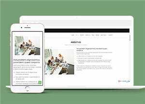 网页设计优化机构响应式网页模板冒泡网-中创网-项目资源网-资源之家-项目资源网-资源之家-副业项目-手机搬砖-中创网-无货源电商-创业项目-抖音工具箱-搬砖项目-网络赚钱网创矩阵局-网赚冒泡网-福缘网-中创网-知识街网站