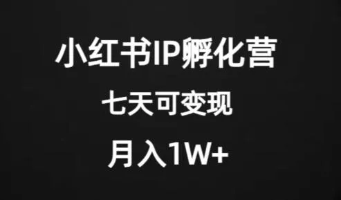 价值2000+的小红书IP孵化营项目，超级大蓝海，七天即可开始变现，稳定月入1W+创业-网创-互联网创业-福缘论坛-冒泡网赚-中赚网-短视频等网络赚钱课程-免费分享网络创业项目-聚合知识付费VIP创业课程网创项目孵化中心
