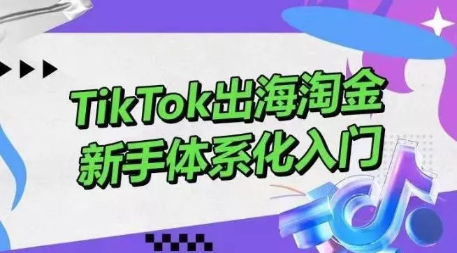 TikTok出海淘金，新手体系化入门，零基础快速入门，掌握短视频、直播带货等引流到变现的知识创业-网创-互联网创业-福缘论坛-冒泡网赚-中赚网-短视频等网络赚钱课程-免费分享网络创业项目-聚合知识付费VIP创业课程网创项目孵化中心