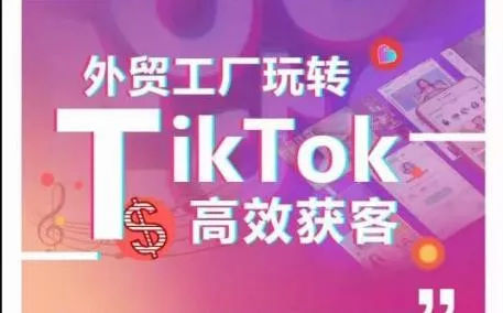 外贸工厂玩转TikTok高效获客,多种引流方式与账号定位技巧,拆解爆款短视频打造成功案例-网创项目孵化中心 外贸工厂玩转TikTok高效获客,多种引流方式与账号定位技巧,拆解爆款短视频打造成功案例-网创项目孵化中心