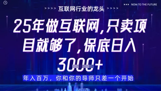 什么！25年你还在找项目做？风口早就变了，卖项目才是稳挣不赔【揭秘】创业-网创-互联网创业-福缘论坛-冒泡网赚-中赚网-短视频等网络赚钱课程-免费分享网络创业项目-聚合知识付费VIP创业课程网创项目孵化中心