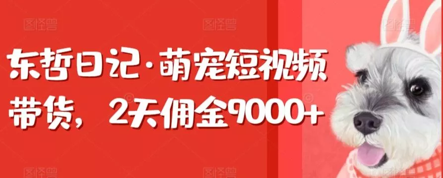 东哲日记·萌宠短视频带货，2天佣金9000+创业-网创-互联网创业-福缘论坛-冒泡网赚-中赚网-短视频等网络赚钱课程-免费分享网络创业项目-聚合知识付费VIP创业课程网创项目孵化中心