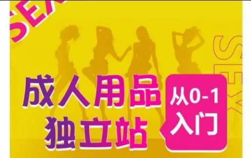成人用品独立站从0-1入门,成品独立站运营全流程教学,七大好卖成品独立站推荐-网创项目孵化中心 成人用品独立站从0-1入门,成品独立站运营全流程教学,七大好卖成品独立站推荐-网创项目孵化中心