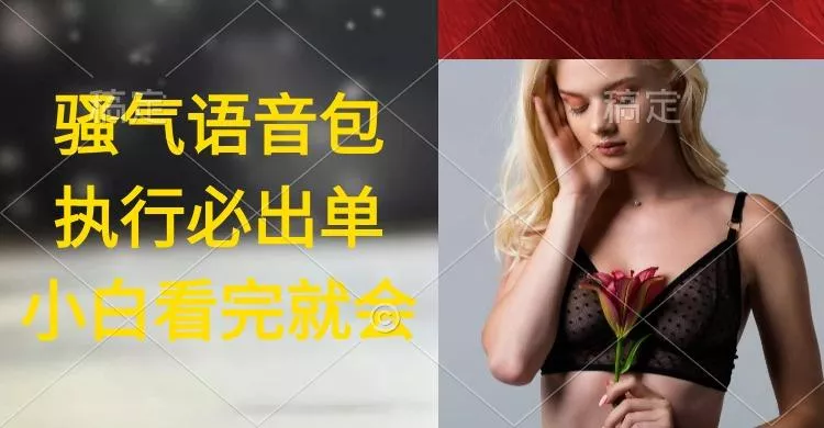 (9589期)执行就出单，日入2000+，超火骚气语音包，小白看完课程就能马上实操创业-网创-互联网创业-福缘论坛-冒泡网赚-中赚网-短视频等网络赚钱课程-免费分享网络创业项目-聚合知识付费VIP创业课程网创项目孵化中心