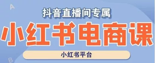 小红书电商高级运营课程，实操教学+案例分析创业-网创-互联网创业-福缘论坛-冒泡网赚-中赚网-短视频等网络赚钱课程-免费分享网络创业项目-聚合知识付费VIP创业课程网创项目孵化中心