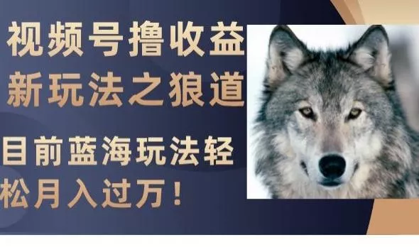 视频号撸收益新玩法之狼道，目前蓝海玩法，轻松月入过万【揭秘】创业-网创-互联网创业-福缘论坛-冒泡网赚-中赚网-短视频等网络赚钱课程-免费分享网络创业项目-聚合知识付费VIP创业课程网创项目孵化中心