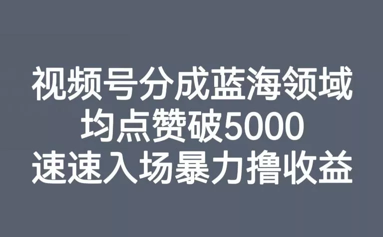 视频号分成蓝海领域，均点赞破5000，速速入场暴力撸收益创业-网创-互联网创业-福缘论坛-冒泡网赚-中赚网-短视频等网络赚钱课程-免费分享网络创业项目-聚合知识付费VIP创业课程网创项目孵化中心