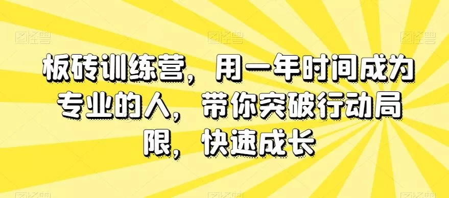 板砖训练营,用一年时间成为专业的人,带你突破行动局限,快速成长-网创项目孵化中心 板砖训练营,用一年时间成为专业的人,带你突破行动局限,快速成长-网创项目孵化中心