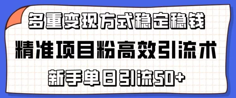 精准项目粉高效引流术，新手单日引流50+，多重变现方式稳定赚钱【揭秘】创业-网创-互联网创业-福缘论坛-冒泡网赚-中赚网-短视频等网络赚钱课程-免费分享网络创业项目-聚合知识付费VIP创业课程网创项目孵化中心