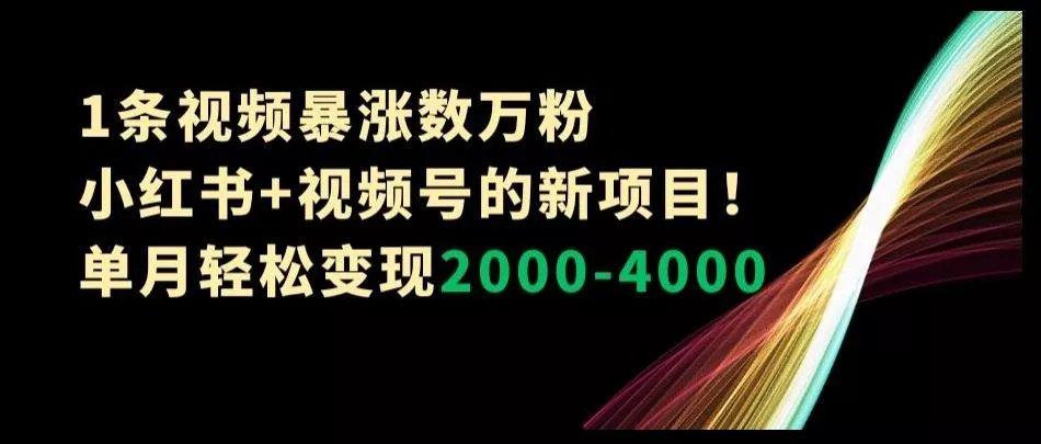 1条视频暴涨数万粉--小红书+视频号的新项目！单月轻松变现2000-4000【揭秘】创业-网创-互联网创业-福缘论坛-冒泡网赚-中赚网-短视频等网络赚钱课程-免费分享网络创业项目-聚合知识付费VIP创业课程网创项目孵化中心