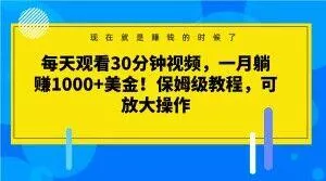 每天观看30分钟视频,一月躺赚1000+美金!保姆级教程,可放大操作【揭秘】-网创项目孵化中心 每天观看30分钟视频,一月躺赚1000+美金!保姆级教程,可放大操作【揭秘】-网创项目孵化中心