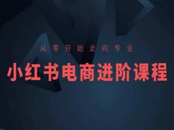 从零开始走向专业,小红书电商进阶课程-网创项目孵化中心 从零开始走向专业,小红书电商进阶课程-网创项目孵化中心
