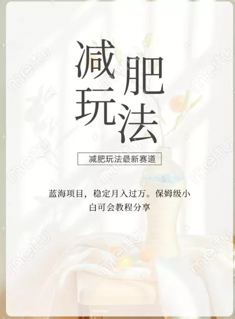 减肥流量主新玩法，轻松月入1W，可矩阵操作收入翻倍创业-网创-互联网创业-福缘论坛-冒泡网赚-中赚网-短视频等网络赚钱课程-免费分享网络创业项目-聚合知识付费VIP创业课程网创项目孵化中心