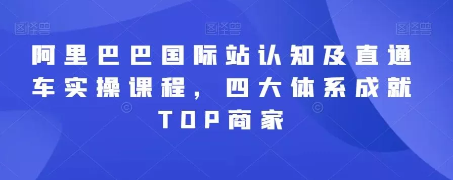 阿里巴巴国际站认知及直通车实操课程,四大体系成就TOP商家-网创项目孵化中心 阿里巴巴国际站认知及直通车实操课程,四大体系成就TOP商家-网创项目孵化中心