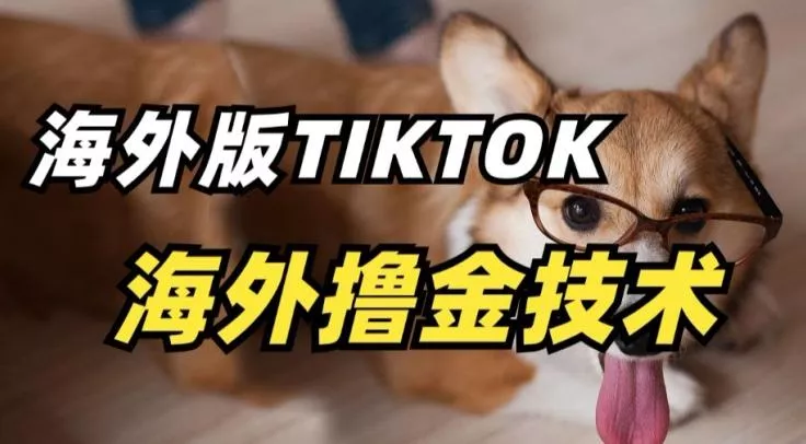 抖音海外版tiktok撸金技术,这个风口行业,赚钱真的不难【揭秘】-网创项目孵化中心 抖音海外版tiktok撸金技术,这个风口行业,赚钱真的不难【揭秘】-网创项目孵化中心