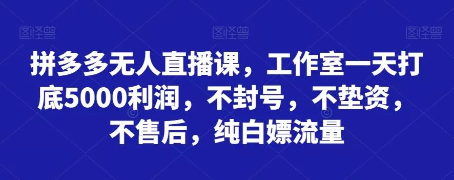拼多多无人直播课,工作室一天打底5000利润,不封号,不垫资,不售后,纯白嫖流量-网创项目孵化中心 拼多多无人直播课,工作室一天打底5000利润,不封号,不垫资,不售后,纯白嫖流量-网创项目孵化中心