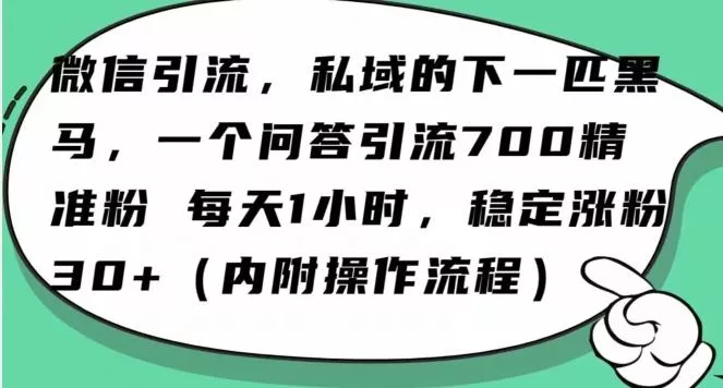 怎么搞精准创业粉？微信新赛道，每天一小时，利用Ai一个问答日引100精准粉创业-网创-互联网创业-福缘论坛-冒泡网赚-中赚网-短视频等网络赚钱课程-免费分享网络创业项目-聚合知识付费VIP创业课程网创项目孵化中心