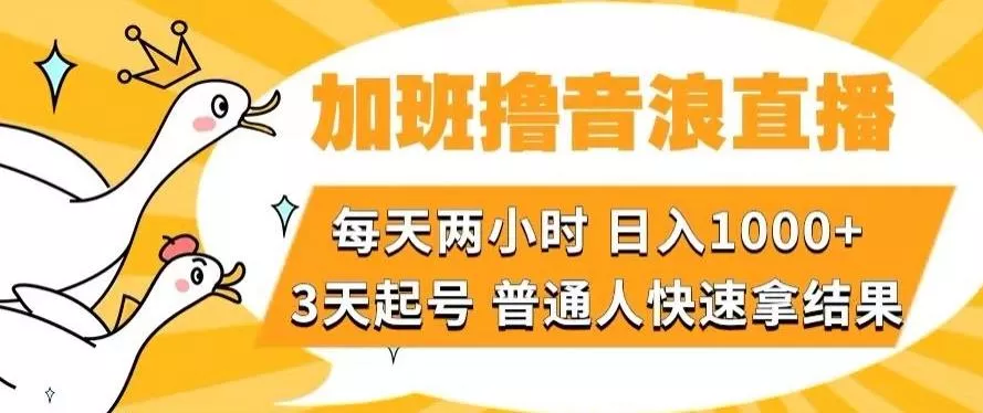 加班撸音浪直播,每天两小时,日入1000+,直播话术才3句,3天起号,普通人快速拿结果【揭秘】-网创项目孵化中心 加班撸音浪直播,每天两小时,日入1000+,直播话术才3句,3天起号,普通人快速拿结果【揭秘】-网创项目孵化中心