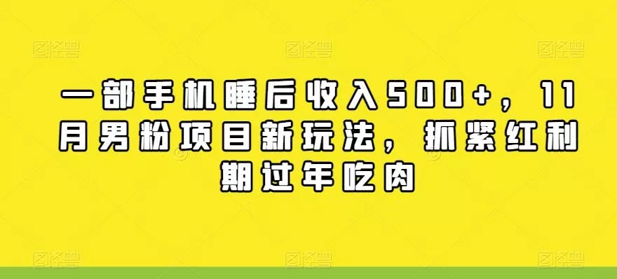 一部手机睡后收入500+，11月男粉项目新玩法，抓紧红利期过年吃肉创业-网创-互联网创业-福缘论坛-冒泡网赚-中赚网-短视频等网络赚钱课程-免费分享网络创业项目-聚合知识付费VIP创业课程网创项目孵化中心