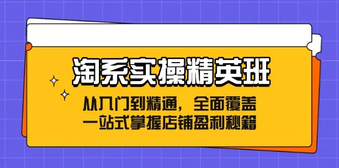 淘系实操精英班:从入门到精通,全面覆盖,一站式掌握店铺盈利秘籍创业-网创-互联网创业-福缘论坛-冒泡网赚-中赚网-短视频等网络赚钱课程-免费分享网络创业项目-聚合知识付费VIP创业课程网创项目孵化中心