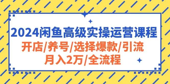 2024闲鱼高级实操运营课程：开店/养号/选择爆款/引流/月入2万/全流程创业-网创-互联网创业-福缘论坛-冒泡网赚-中赚网-短视频等网络赚钱课程-免费分享网络创业项目-聚合知识付费VIP创业课程网创项目孵化中心