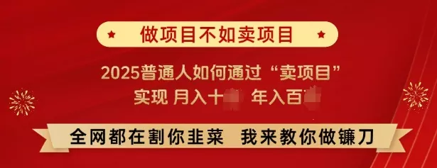 必看，做项目不如卖项目，2025普通人如何通过“卖项目”实现月入十个，年入百个创业-网创-互联网创业-福缘论坛-冒泡网赚-中赚网-短视频等网络赚钱课程-免费分享网络创业项目-聚合知识付费VIP创业课程网创项目孵化中心
