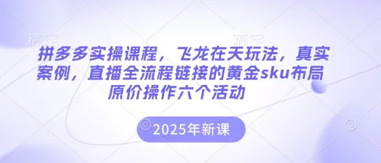 拼多多实操课程,飞龙在天玩法,真实案例,直播全流程链接的黄金sku布局原价操作六个活动-网创项目孵化中心 拼多多实操课程,飞龙在天玩法,真实案例,直播全流程链接的黄金sku布局原价操作六个活动-网创项目孵化中心