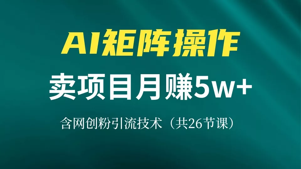 网创IP打造课,借助AI卖项目月赚5万+,含引流技术(共26节课创业-网创-互联网创业-福缘论坛-冒泡网赚-中赚网-短视频等网络赚钱课程-免费分享网络创业项目-聚合知识付费VIP创业课程网创项目孵化中心