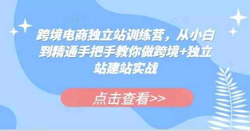 跨境电商独立站训练营,从小白到精通手把手教你做跨境+独立站建站实战-网创项目孵化中心 跨境电商独立站训练营,从小白到精通手把手教你做跨境+独立站建站实战-网创项目孵化中心