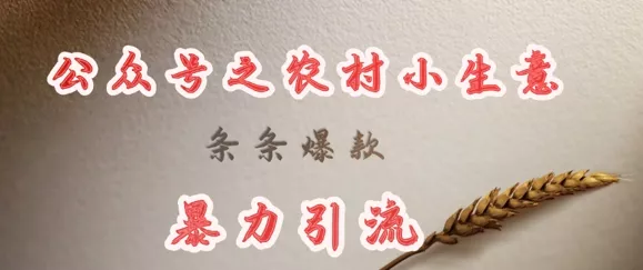 deepseek写农村小项目，条条爆款，暴力引流创业-网创-互联网创业-福缘论坛-冒泡网赚-中赚网-短视频等网络赚钱课程-免费分享网络创业项目-聚合知识付费VIP创业课程网创项目孵化中心