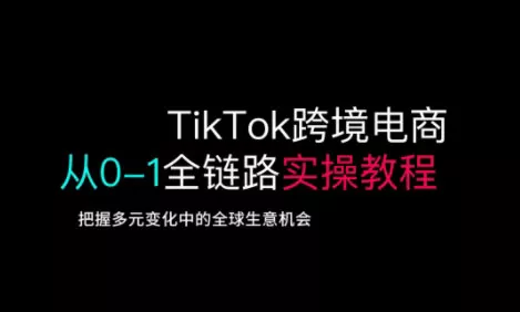TikTok跨境电商从0-1全链路全方位实操教程,把握多元变化中的全球生意机会-网创项目孵化中心 TikTok跨境电商从0-1全链路全方位实操教程,把握多元变化中的全球生意机会-网创项目孵化中心