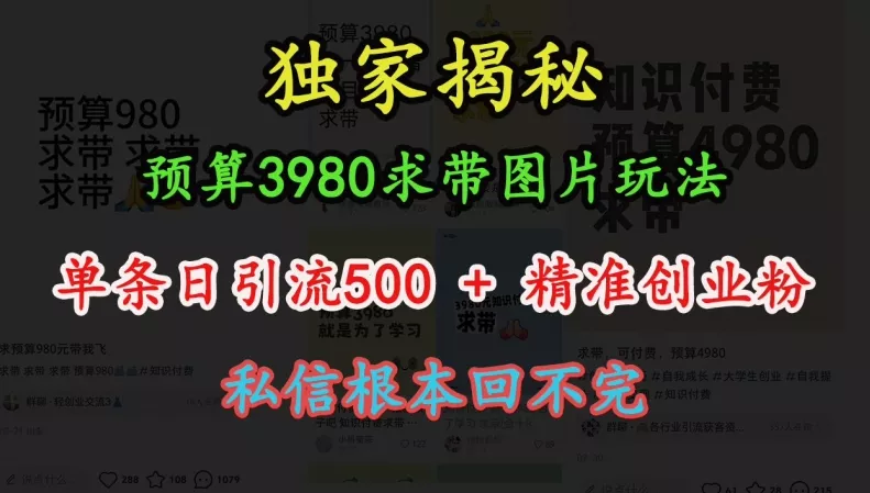 预算3980求带 图片玩法，单条日引流500+精准创业粉，私信根本回不完创业-网创-互联网创业-福缘论坛-冒泡网赚-中赚网-短视频等网络赚钱课程-免费分享网络创业项目-聚合知识付费VIP创业课程网创项目孵化中心