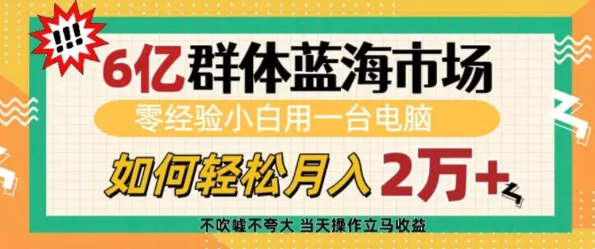 6亿群体蓝海市场,零经验小白用一台电脑,如何轻松月入过w【揭秘】-网创项目孵化中心 6亿群体蓝海市场,零经验小白用一台电脑,如何轻松月入过w【揭秘】-网创项目孵化中心