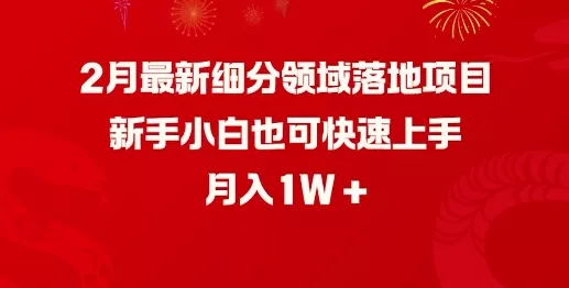 2月最新细分领域落地项目,新手小白也可快速上手,月入1W-网创项目孵化中心 2月最新细分领域落地项目,新手小白也可快速上手,月入1W-网创项目孵化中心