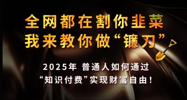 全网都在割你韭菜，我来教你做镰刀，2025年普通人如何通过 知识付费 实现财F自由【揭秘】创业-网创-互联网创业-福缘论坛-冒泡网赚-中赚网-短视频等网络赚钱课程-免费分享网络创业项目-聚合知识付费VIP创业课程网创项目孵化中心