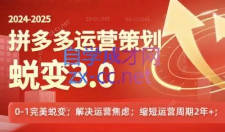 大力老师·2024拼多多运营策略蜕变3.0-网创项目孵化中心 大力老师·2024拼多多运营策略蜕变3.0-网创项目孵化中心