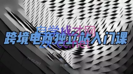 团长·跨境电商独立站入门课(2小时精华)-网创项目孵化中心 团长·跨境电商独立站入门课(2小时精华)-网创项目孵化中心