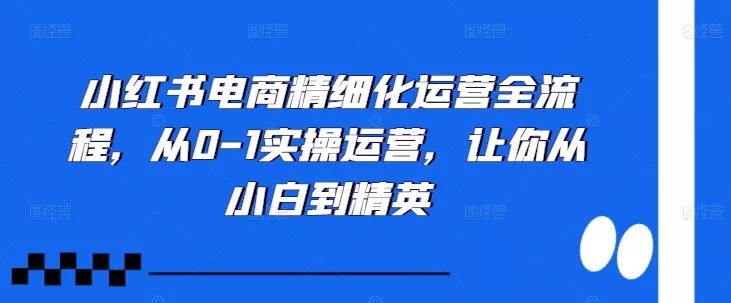 小红书电商精细化运营全流程,从0-1实操运营,让你从小白到精英-网创项目孵化中心 小红书电商精细化运营全流程,从0-1实操运营,让你从小白到精英-网创项目孵化中心