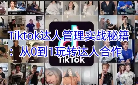 Tiktok达人管理实战秘籍：从0到1玩转达人合作创业-网创-互联网创业-福缘论坛-冒泡网赚-中赚网-短视频等网络赚钱课程-免费分享网络创业项目-聚合知识付费VIP创业课程网创项目孵化中心